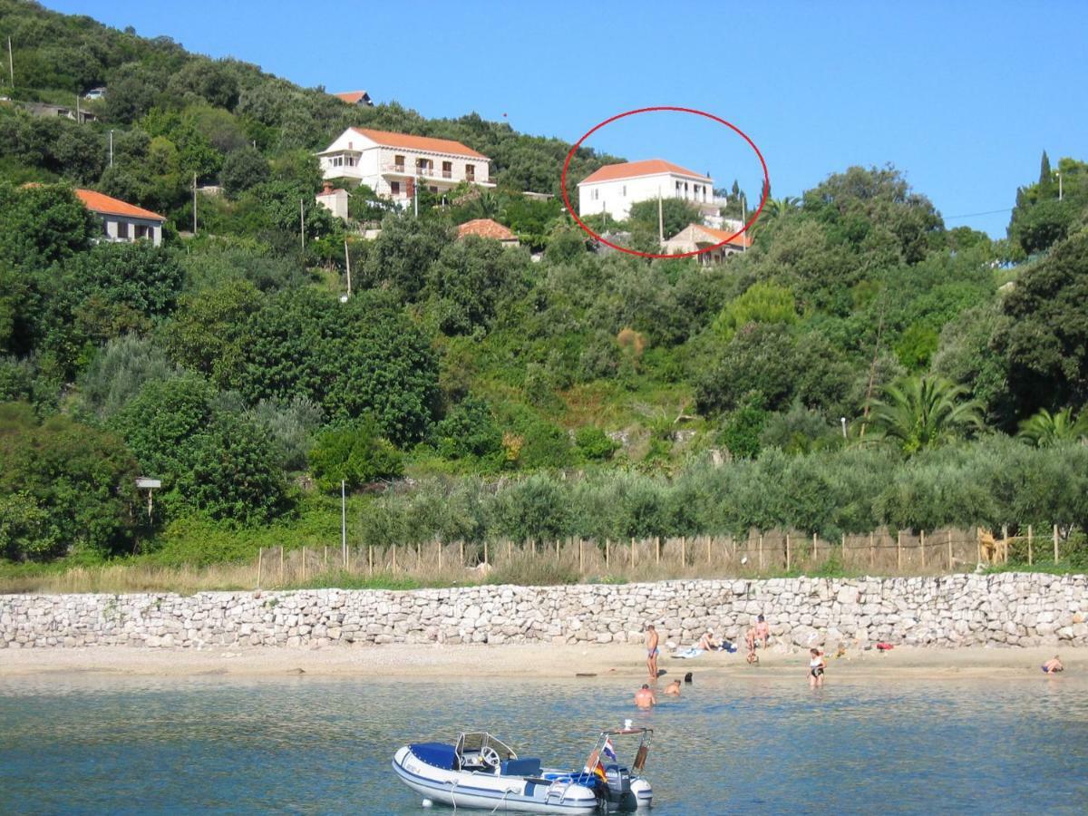 Diving Apartments Molunat Exterior photo